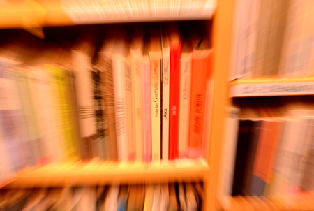 Pravljično popoldne 2025 (foto T. Kosec)